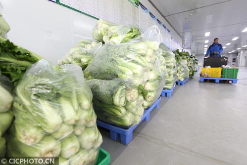貴州遵義 構建農產品產供銷一條龍體系，以食用農產品初加工保障食品安全