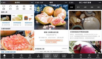 杭州四喜托管可信嗎？事實說話 食庫網農產品基地加工與品牌營銷的領航者