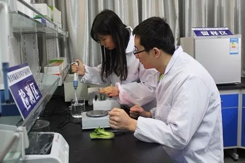 這一年，嚴字當頭 護航舌尖上的安全，食用農產品初加工